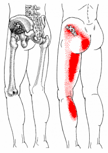 Gluteus-Minimus-213x300.png